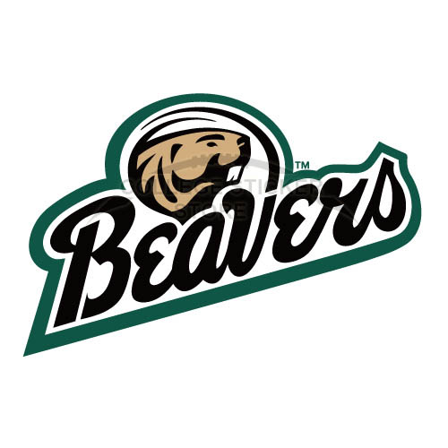Customs Bemidji State Beavers 2004 Pres Iron-on Transfers (Wall Stickers)NO.3995